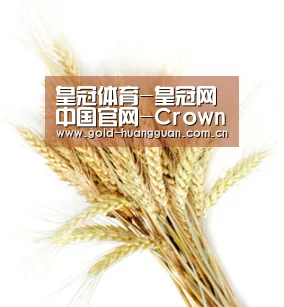 皇冠体育-皇冠网中国官网-CrownSports