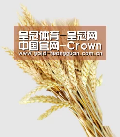 皇冠体育-皇冠网中国官网-CrownSports